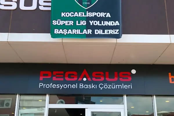 PEGASUS PROFESYONEL BASKI ÇÖZÜMLERİ - Resim 16