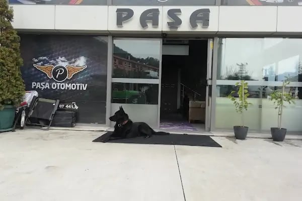 PAŞA OTOMOTİV - Resim 8