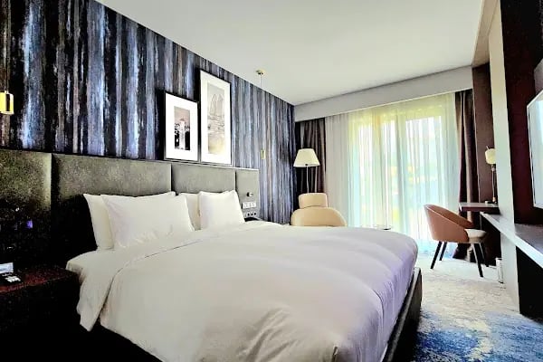 Radisson Hotel İzmir Aliağa - Resim 19