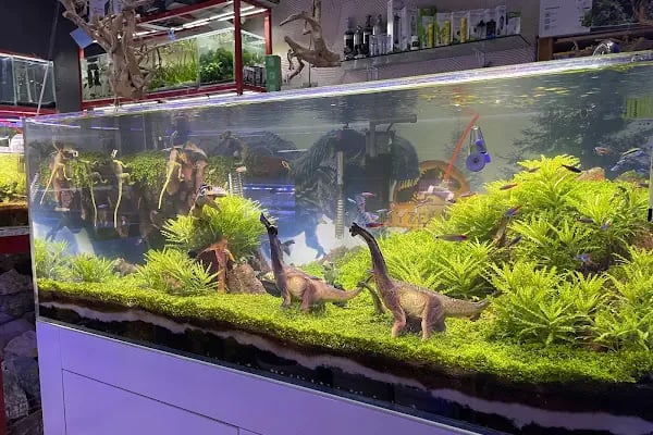 Ayzek Pet Shop - Resim 3