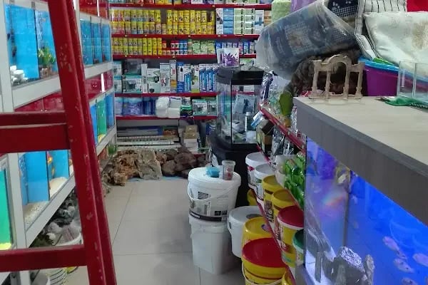 Ayzek Pet Shop - Resim 15