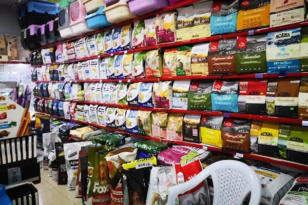 Ayzek Pet Shop - Resim 6