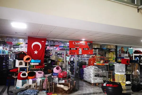 Ayzek Pet Shop - Resim 2