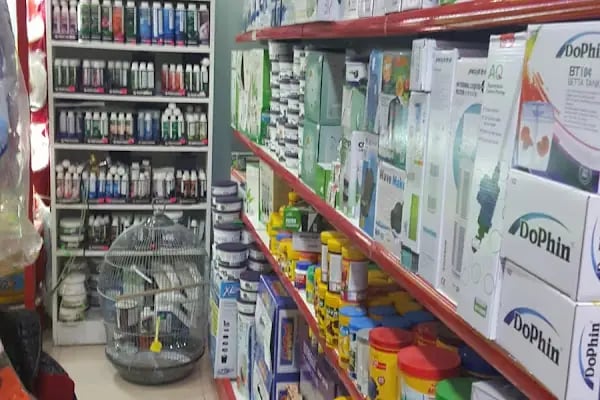 Ayzek Pet Shop - Resim 12