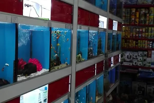 Ayzek Pet Shop - Resim 14