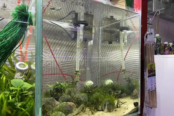 Ayzek Pet Shop - Resim 10