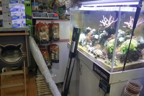 Ayzek Pet Shop - Resim 8