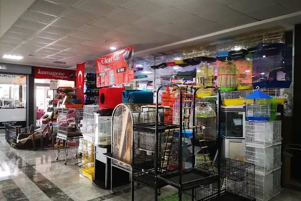 Ayzek Pet Shop - Resim 7