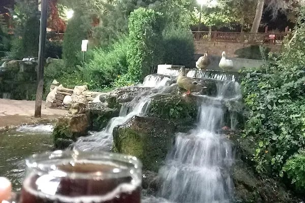 Karaisalı Piknik Alanı - Resim 16