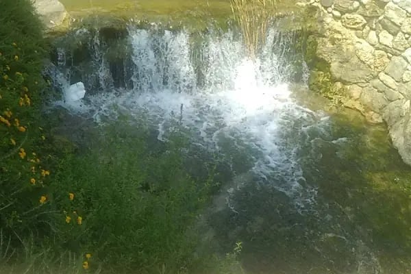 Karaisalı Piknik Alanı - Resim 7