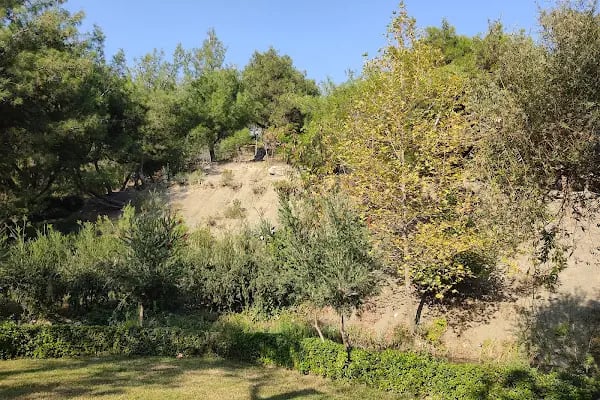 Karaisalı Piknik Alanı - Resim 2