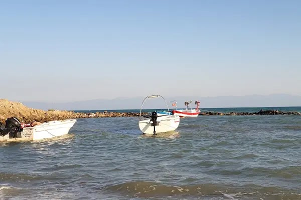 Yılmaz Kamping - Resim 9