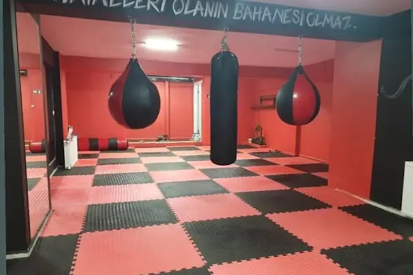 Aydın Erat Spor Kulübü, Taekwondo &amp; Kick Boks &amp; Muay Thai - Resim 20
