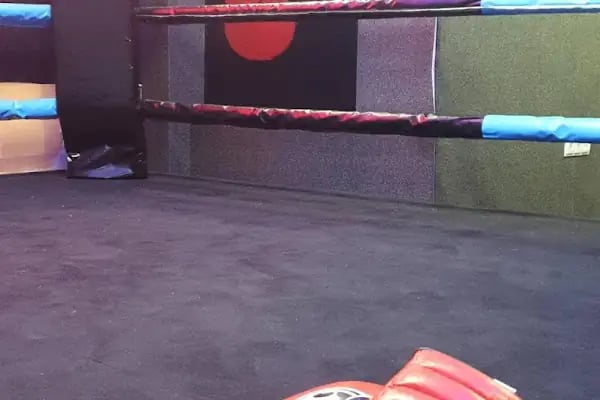 Aydın Erat Spor Kulübü, Taekwondo &amp; Kick Boks &amp; Muay Thai - Resim 9