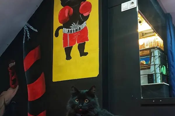Aydın Erat Spor Kulübü, Taekwondo &amp; Kick Boks &amp; Muay Thai - Resim 10