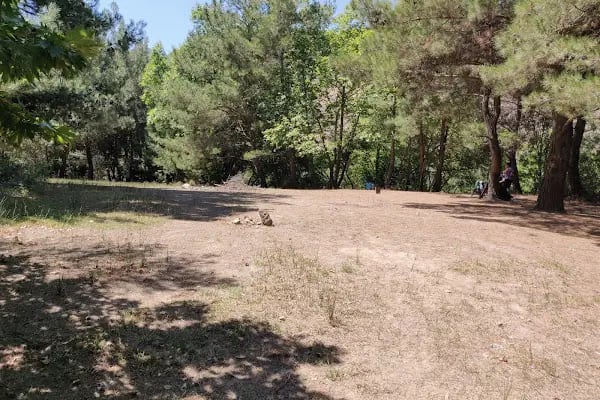 Nif Kulübe Kamp Alanı - Resim 9