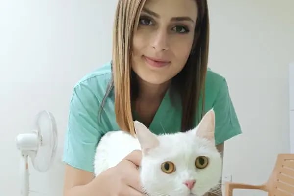 Feronia Veteriner Kliniği - Resim 9