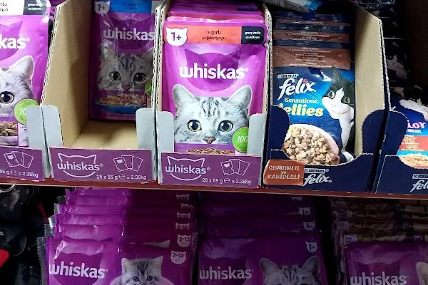 İZMİT PETSHOP MARKET - Resim 7