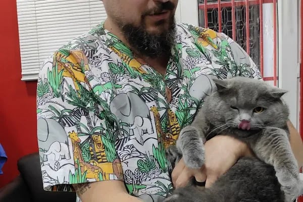 Trabzon Pati Veteriner Kliniği - Resim 16