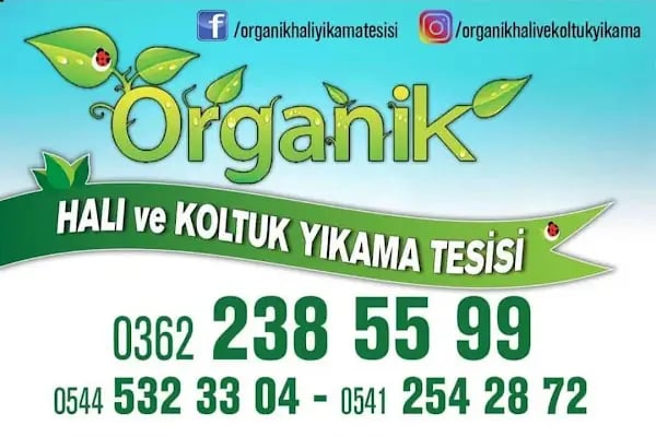 Organik Kuru Temizleme - Resim 7