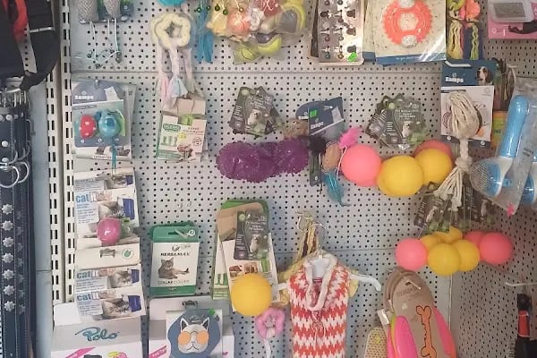 Larin Petshop - Resim 13
