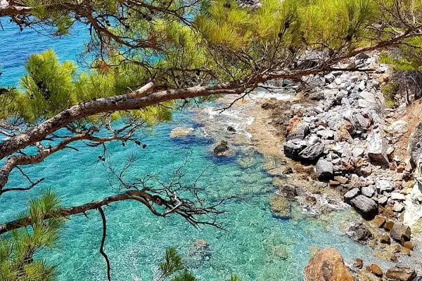 Aslan Apart Otel - Resim 15