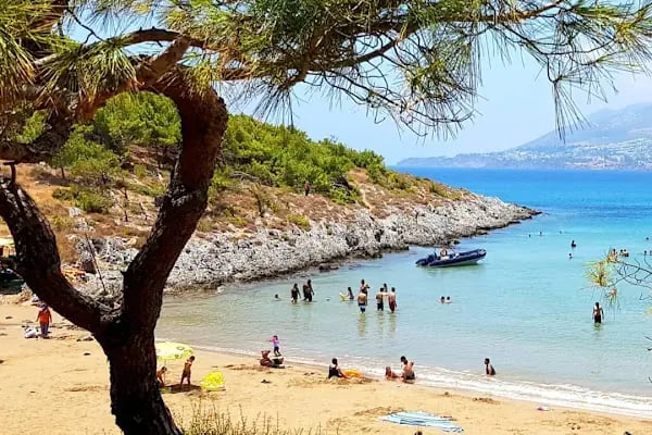 Aslan Apart Otel - Resim 19