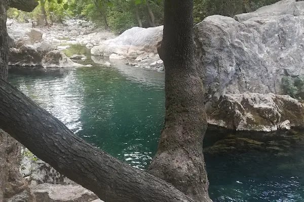 Kazdağı Millî Parkı - Resim 13