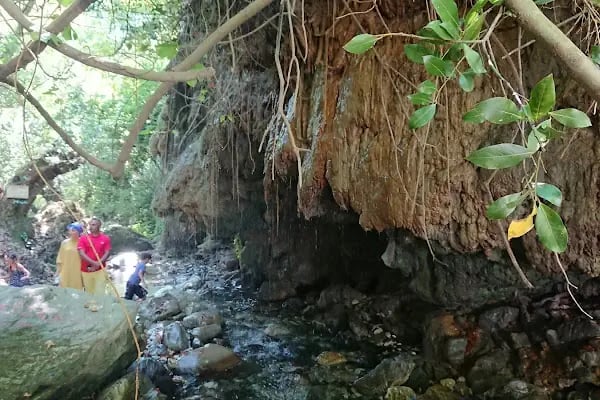Kazdağı Millî Parkı - Resim 18