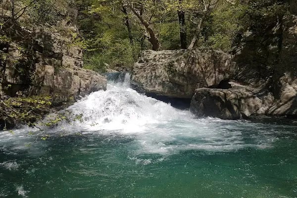 Kazdağı Millî Parkı - Resim 10