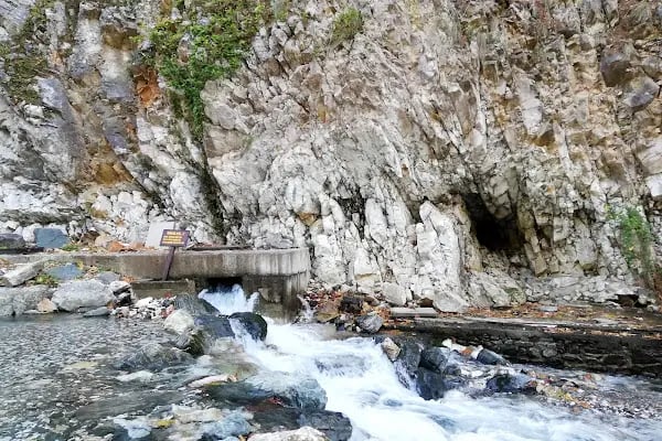 Kazdağı Millî Parkı - Resim 15