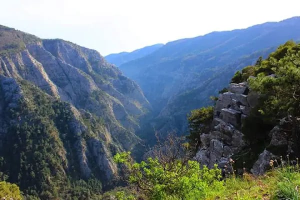 Kazdağı Millî Parkı - Resim 2