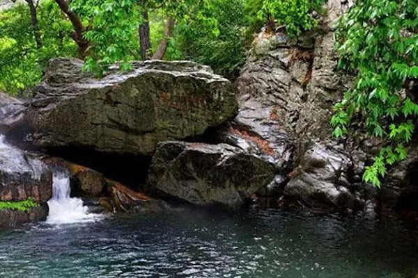 Kazdağı Millî Parkı - Resim 3