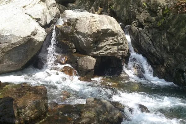 Kazdağı Millî Parkı - Resim 9