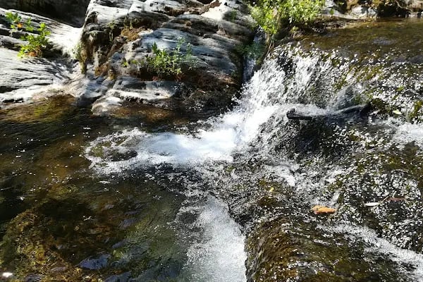 Kazdağı Millî Parkı - Resim 19