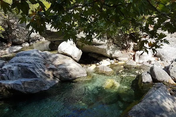 Kazdağı Millî Parkı - Resim 11