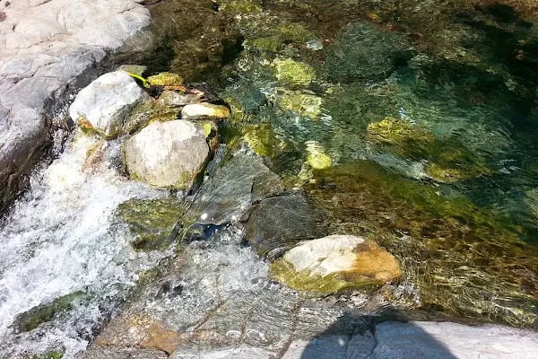 Kazdağı Millî Parkı - Resim 20