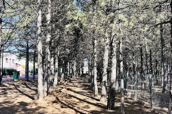 Ahlatlıbel Atatürk Parkı - Resim 4