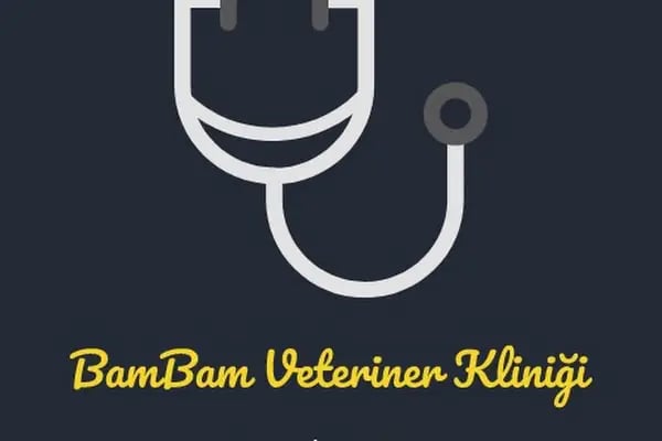 Bam Bam Veteriner Kliniği - Resim 5