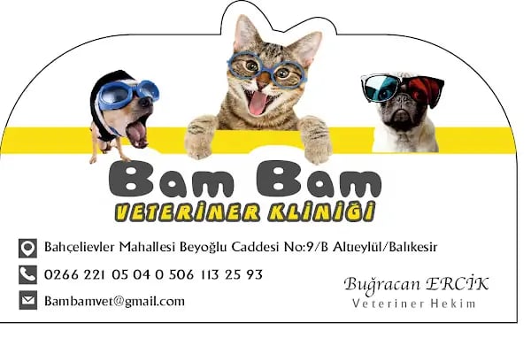 Bam Bam Veteriner Kliniği - Resim 3