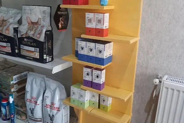 Bam Bam Veteriner Kliniği - Resim 2