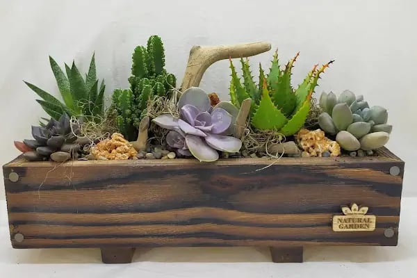 St natural garden - Resim 9