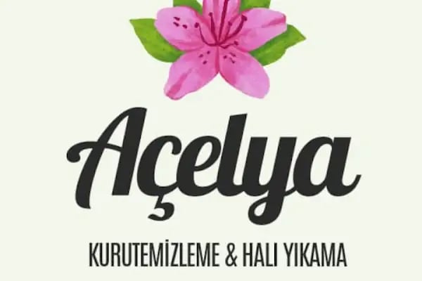 Açelya kuru temizleme halı yıkama - Resim 5