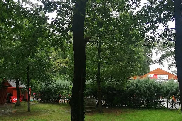 Sakarya İl Ormanı Tabiat parkı konakları - Resim 18