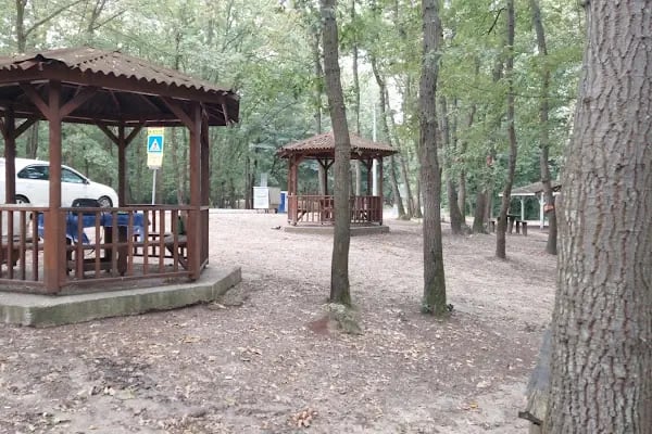 Sakarya İl Ormanı Tabiat parkı konakları - Resim 14