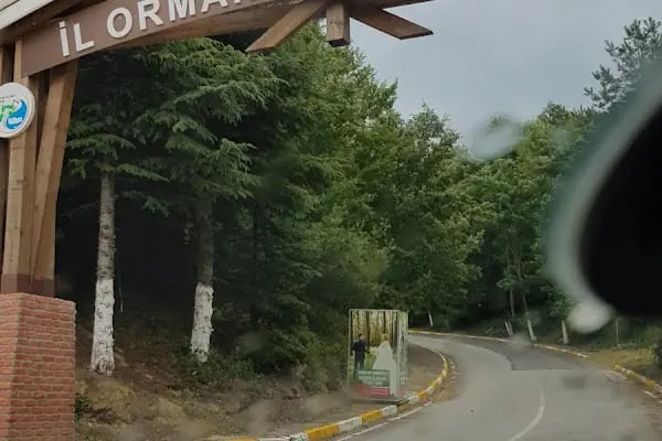 Sakarya İl Ormanı Tabiat parkı konakları - Resim 13