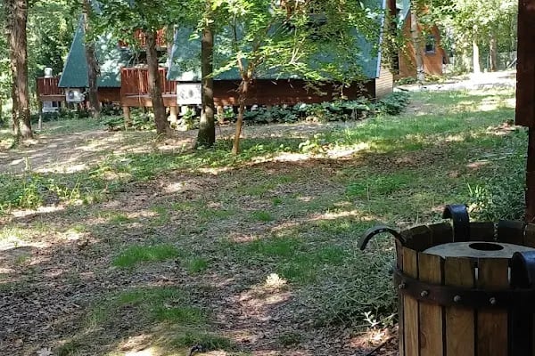 Sakarya İl Ormanı Tabiat parkı konakları - Resim 16