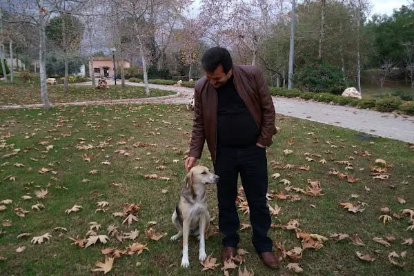 Vali Oğuz K. Köksal Çocuk Parkı - Resim 6