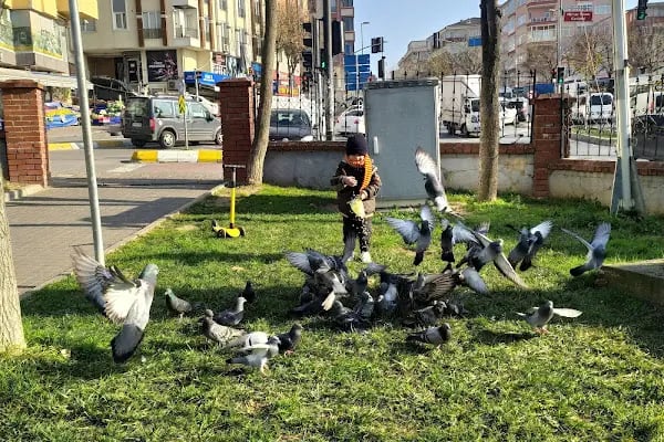 Levent Kırca Parkı - Resim 18