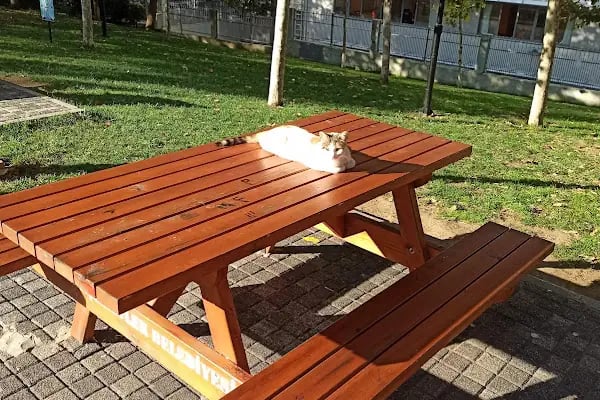 Levent Kırca Parkı - Resim 15